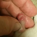 Ann Shaffer Clark - @ann.shafferclark - Instagram