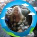 Patty Ann Shaffer - Facebook
