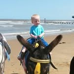 Ann Shaw - @ann.shaw.359778 - Instagram
