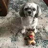 Ann Shaw - @ann.shaw8 - TikTok