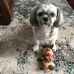 Ann Shaw - Facebook