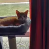 Ann Shaw - @ann.shaw4 - TikTok