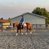 annshaw1635 - @annshaw1635 - TikTok