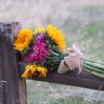 Staci Ann Slack Photography - @staci_ann_slack_photography - Instagram