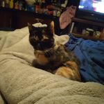 Lori Ann Hughes Smeltzer - @lori.smeltzer.1 - Instagram