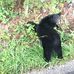 Ann Smiley - Facebook