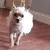 Smiley Ann - @smiley.ann0 - TikTok
