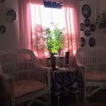 Ann Söderström - @ann.soderstrom.756 - Instagram
