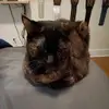 annchristinesokol - @ann.christine.sok - TikTok