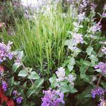 Ann Solberg - @en_uppvaxt - Instagram