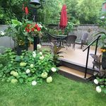 Ann Somerville - @johnannsomerville - Instagram