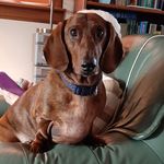 Ann Somerville - @ann.somerville.62 - Instagram