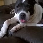 Ann Somerville - @ann.esomerville - Instagram