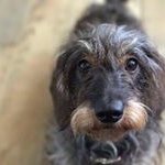 Ann Somerville - @asomerville36 - Instagram