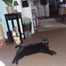 Ann Somma - Facebook