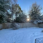 Ann Somma Paulsen - @paulsann1 - Instagram
