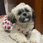 Ann Son - Facebook