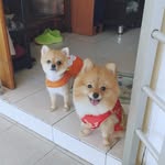 Annson Kwa - @annsonkwa89 - Instagram