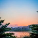 Ann Song - @anntitati - Instagram