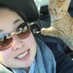 Ann Song - @annsujisong - Instagram