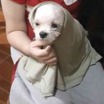 Ann Soo - Facebook