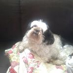 Ann Sorrell - Facebook