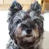 Ann Sorrell - @ann.sorrell - TikTok