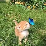 Molly-Ann Sorrell - @_.astrostar._ - Instagram