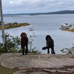Ann Soule - @momma_soule - Instagram