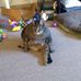 Ann Sousa - Facebook