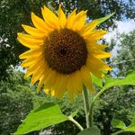Ann Sowders - @annsowders - Instagram