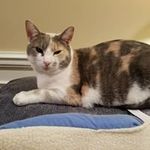 Ann Sowell - @ann.sowell.96 - Instagram