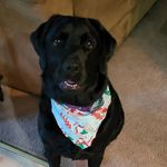 Ann Sowers - @annmsowers - Instagram