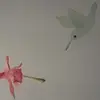 annawederspahn - @annawederspahn - TikTok