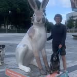 Ann Falconer - @annspaint - Instagram