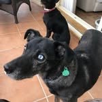 Ann Hudd - @annspain1 - Instagram