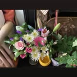 ann Spain - @spain5390 - Instagram