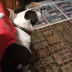 Ann Sparkes - Facebook