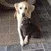 Ann Sparkes - Facebook