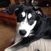 Ann Sparkes - Facebook
