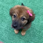 Chai-Ann Marley Spearman - @chaifi420 - Instagram