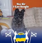Ann Speirs - Facebook