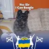 Ann Speirs - @auld_granny_42 - TikTok