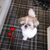 annettespeirs - @annettespeirs - TikTok