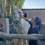 Ann Sperling - @sperling7139 - Instagram