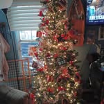 Mary Ann Sperling - @mary.sperling.35 - Instagram
