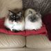 Ann Spilman - Facebook