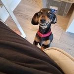 Ann Howard-Spink - @annhowardspink - Instagram