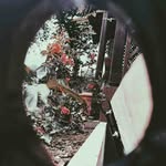 Ann Spires - @spires6583 - Instagram