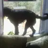annispires - @annispires - TikTok